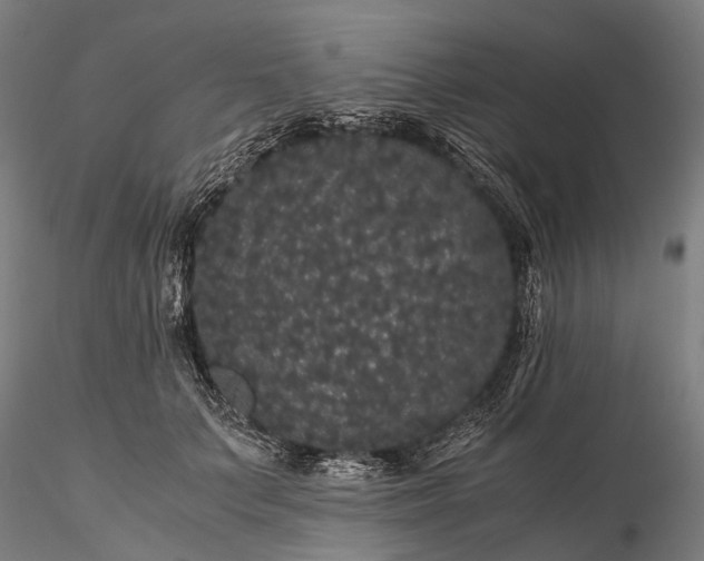 X0000116120703200912071346