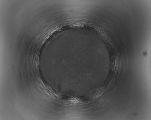 X0000116120704200912071346