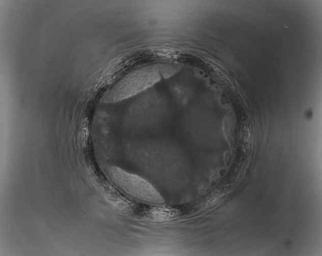 X0000116120707200912071346