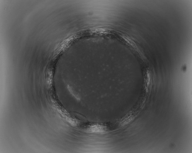 X0000116120708200912071346