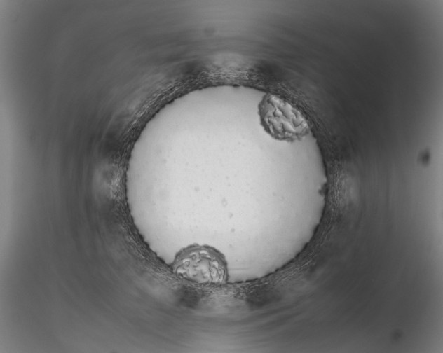 X0000116120709200912071346