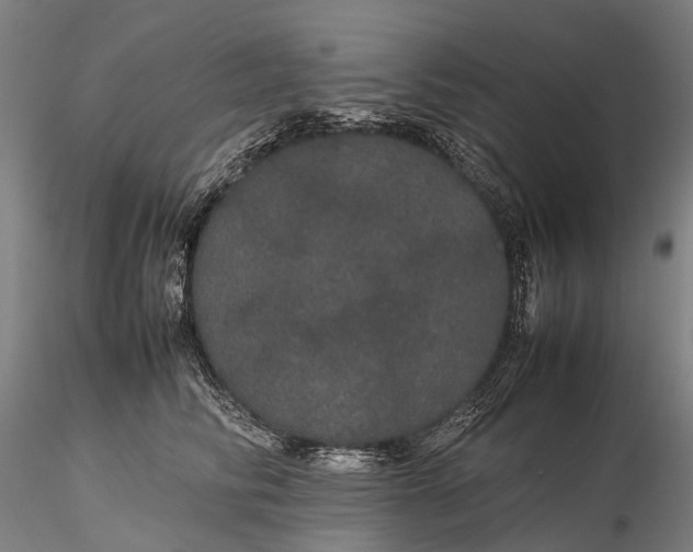 X0000116120710200912071346