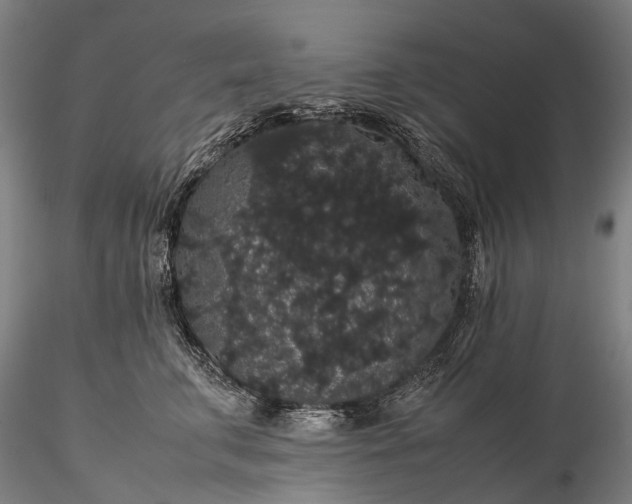 X0000116120711200912071346