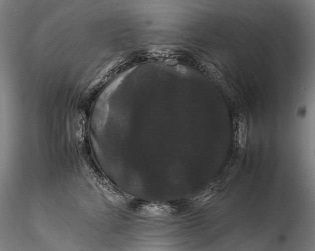 X0000116120712200912071346