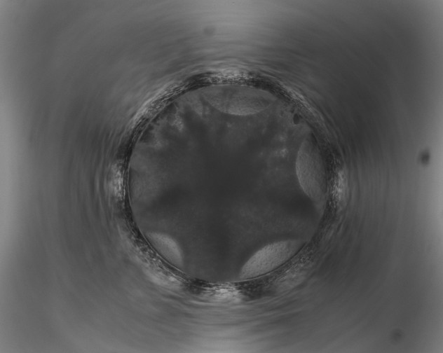 X0000116120715200912071346