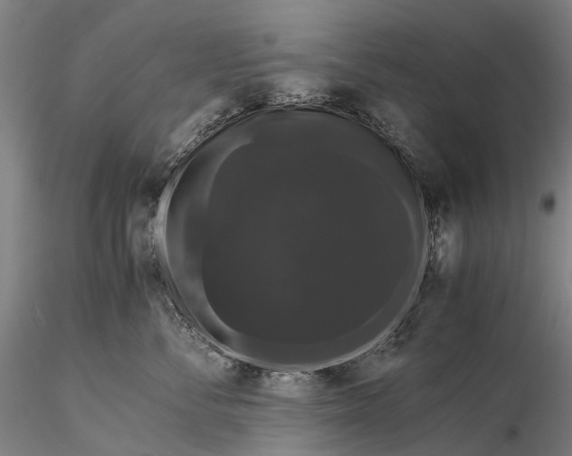 X0000116120716200912071346