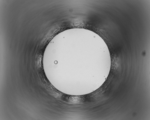 X0000116120717200912071346