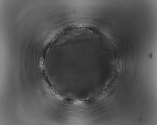 X0000116120718200912071346