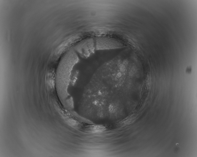 X0000116120719200912071346