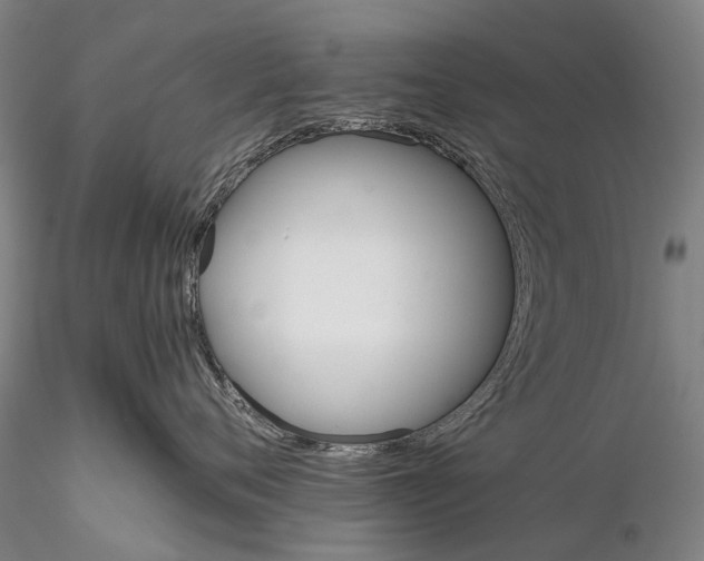 X0000116120720200912071346