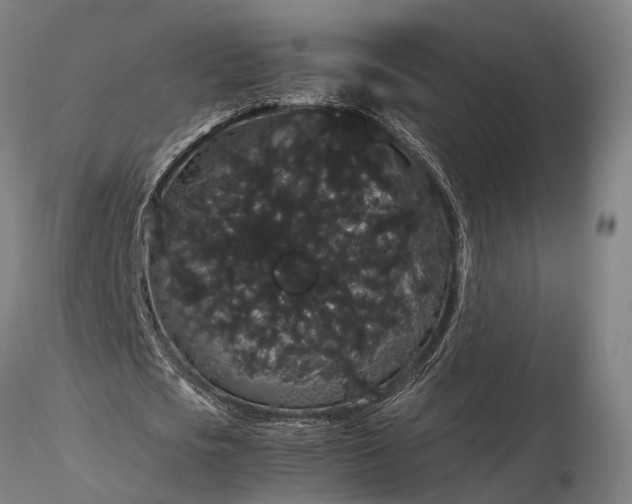 X0000116120721200912071345