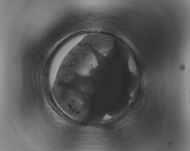 X0000116120722200912071345