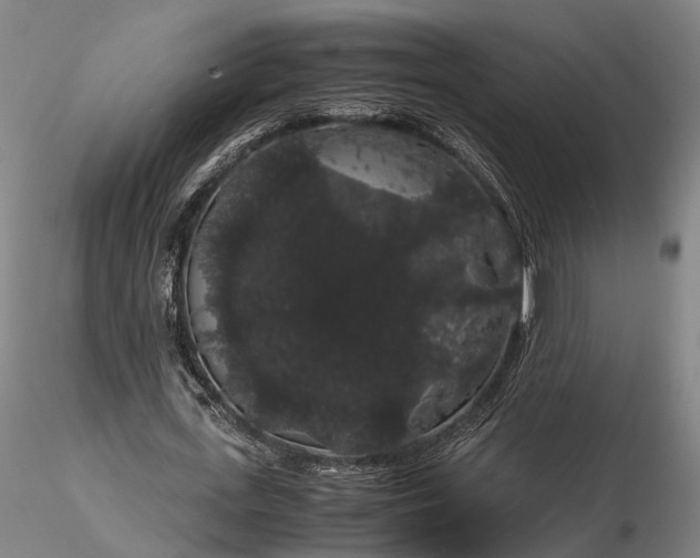 X0000116120723200912071345