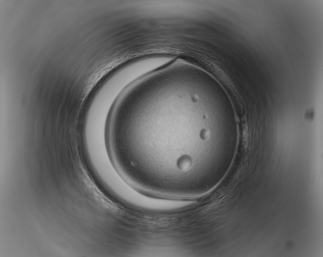 X0000116120725200912071345