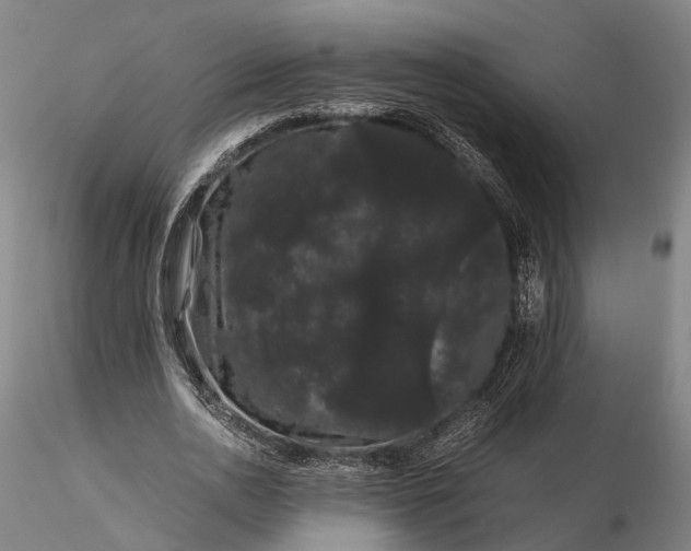 X0000116120726200912071345