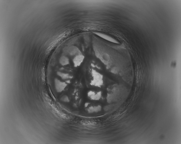 X0000116120729200912071345