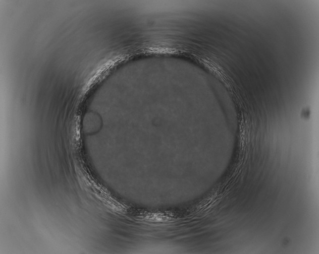 X0000116120731200912071345