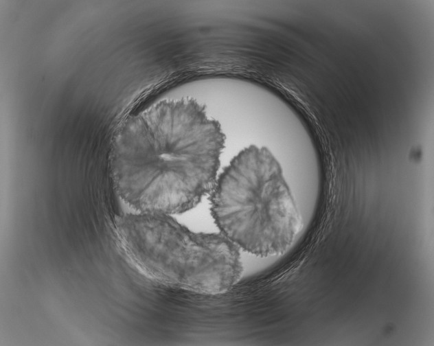 X0000116120733200912071345