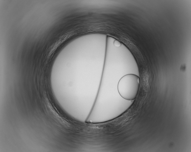 X0000116120734200912071345