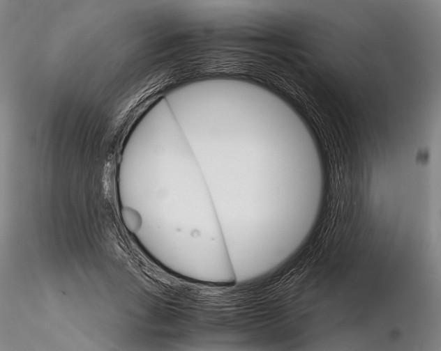 X0000116120735200912071345