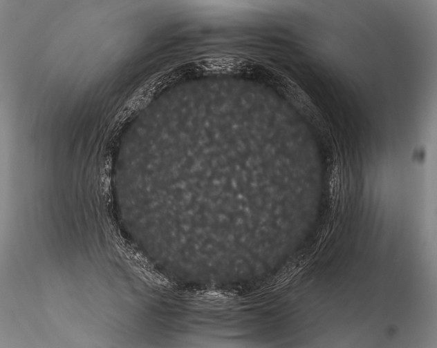 X0000116120737200912071345