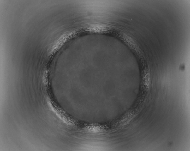 X0000116120738200912071345