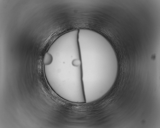 X0000116120739200912071345