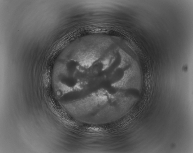 X0000116120741200912071345