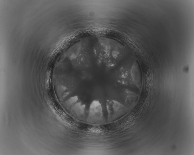 X0000116120742200912071345