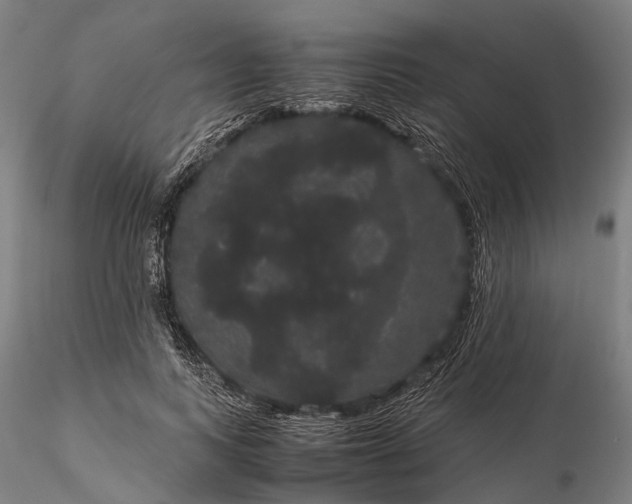 X0000116120743200912071345