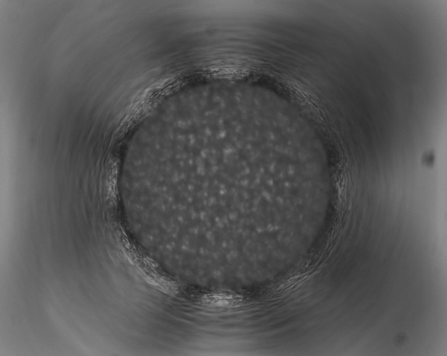 X0000116120745200912071346