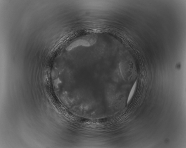 X0000116120747200912071346