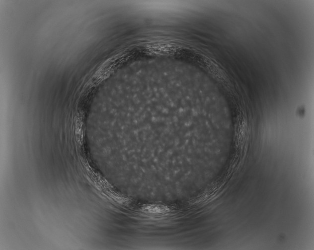 X0000116120749200912071346