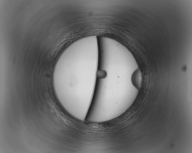 X0000116120750200912071346