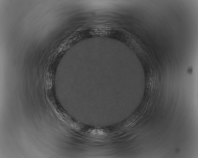 X0000116120751200912071346