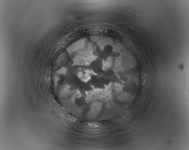 X0000116120753200912071346