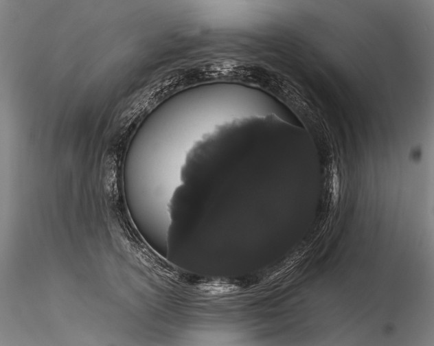 X0000116120754200912071346