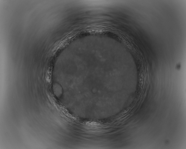 X0000116120755200912071346