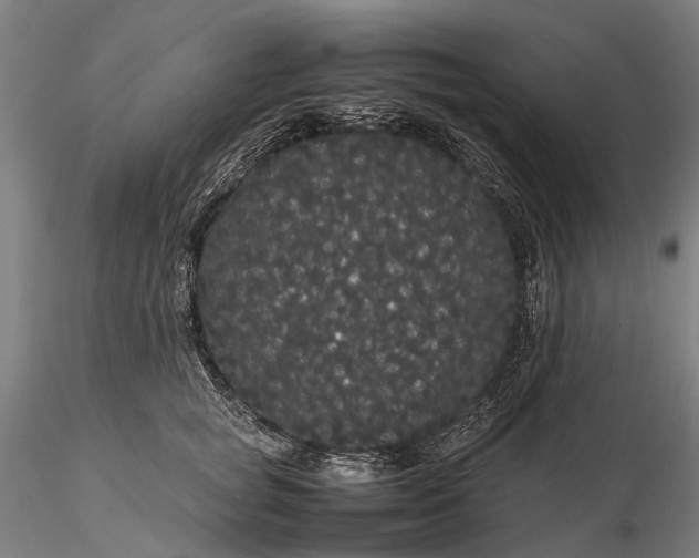 X0000116120757200912071346