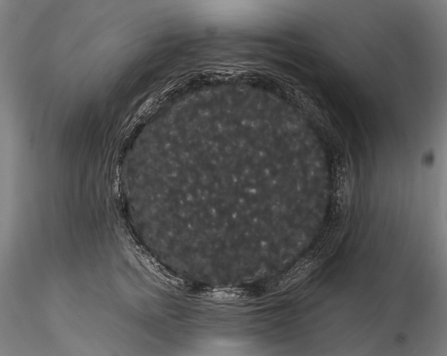 X0000116120758200912071346