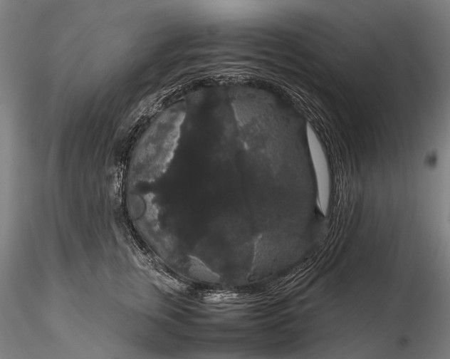 X0000116120759200912071346