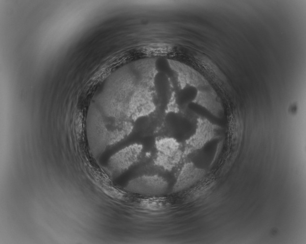 X0000116120761200912071346