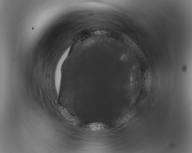 X0000116120762200912071346