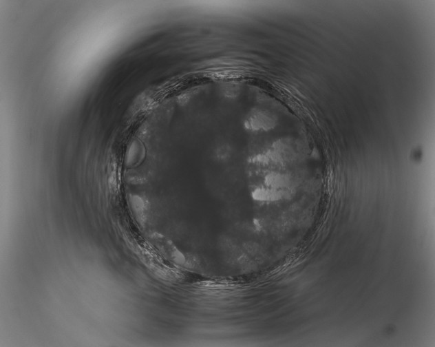 X0000116120763200912071346