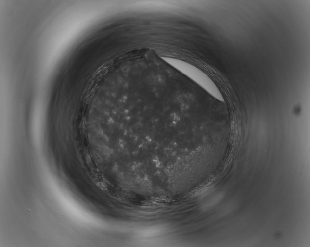 X0000116120765200912071346