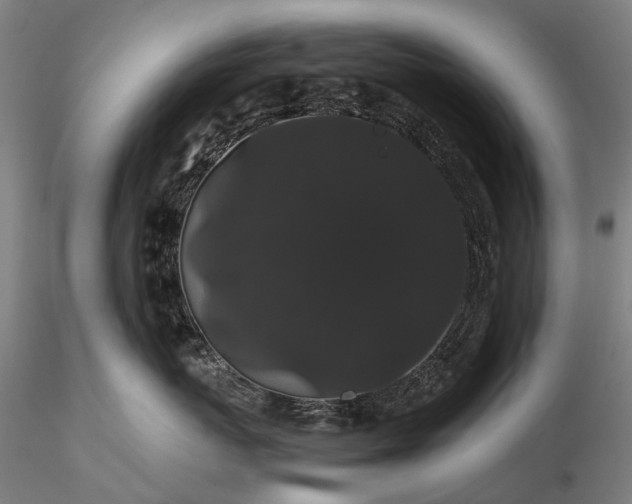 X0000116120767200912071346