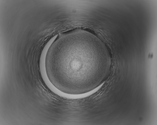 X0000116120769200912071345