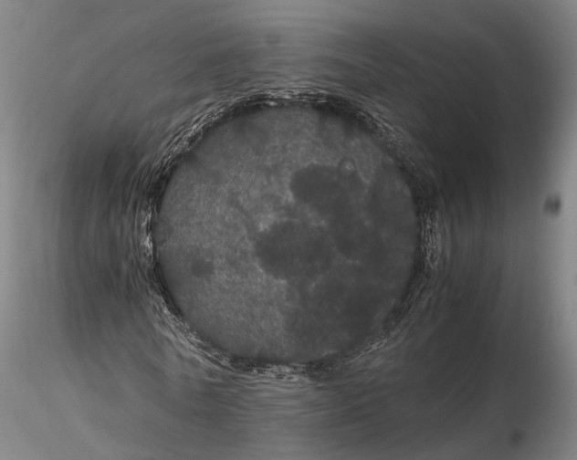 X0000116120770200912071345