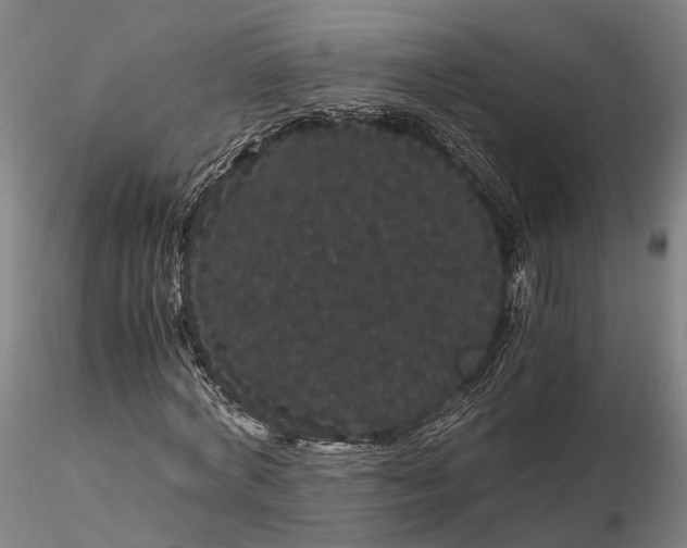 X0000116120772200912071345