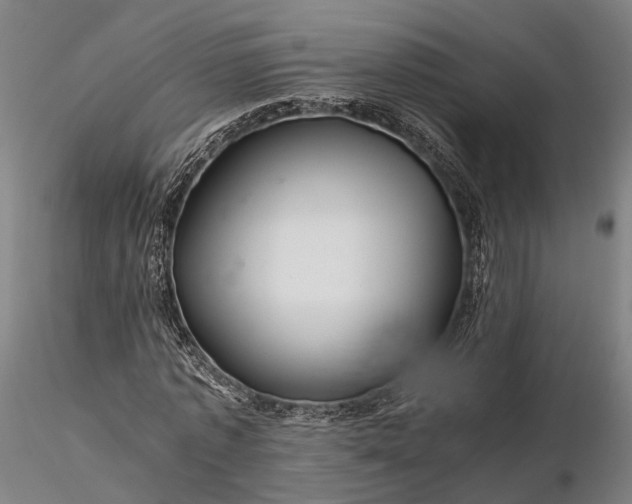 X0000116120773200912071345